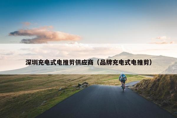 深圳充电式电推剪供应商（品牌充电式电推剪）