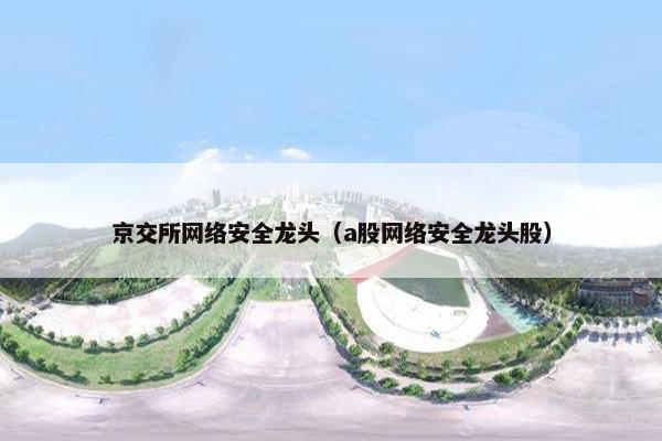京交所网络安全龙头（a股网络安全龙头股）