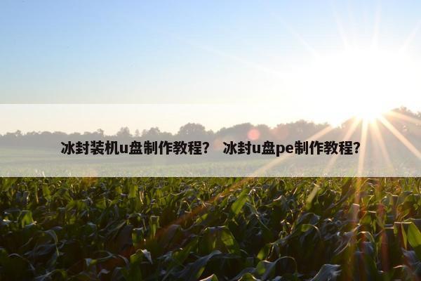 冰封装机u盘制作教程？ 冰封u盘pe制作教程？