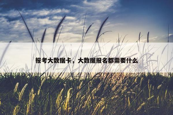 报考大数据卡，大数据报名都需要什么