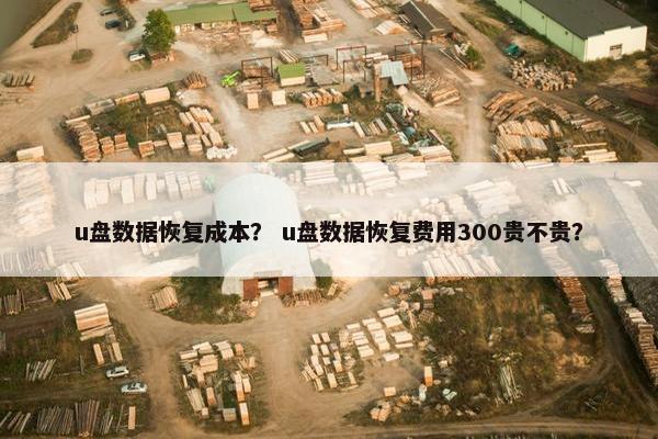 u盘数据恢复成本？ u盘数据恢复费用300贵不贵？
