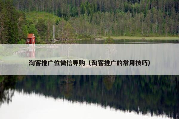 淘客推广位微信导购（淘客推广的常用技巧）