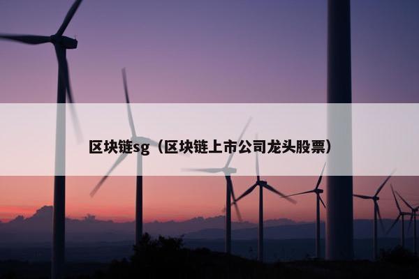 区块链sg（区块链上市公司龙头股票）