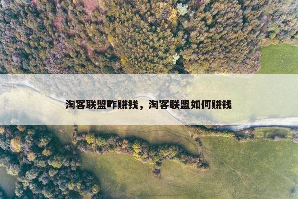 淘客联盟咋赚钱，淘客联盟如何赚钱