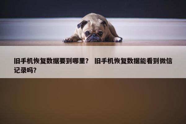 旧手机恢复数据要到哪里？ 旧手机恢复数据能看到微信记录吗？
