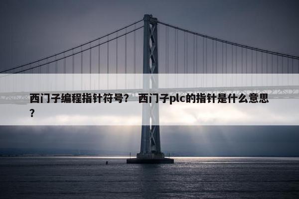 西门子编程指针符号？ 西门子plc的指针是什么意思？