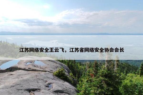 江苏网络安全王云飞，江苏省网络安全协会会长
