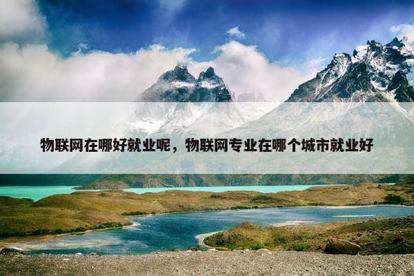 物联网在哪好就业呢，物联网专业在哪个城市就业好