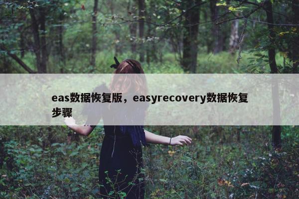 eas数据恢复版，easyrecovery数据恢复步骤