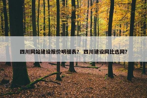 四川网站建设报价明细表？ 四川建设网比选网？