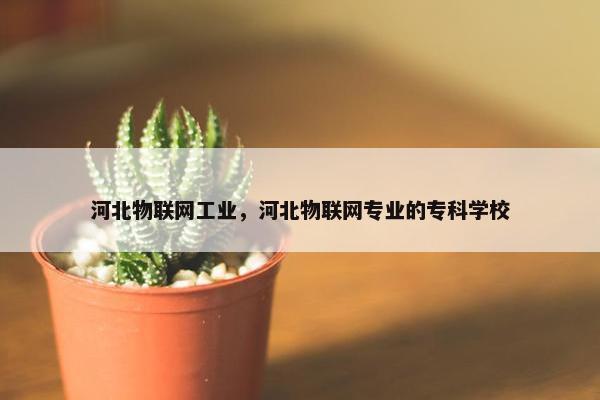 河北物联网工业，河北物联网专业的专科学校