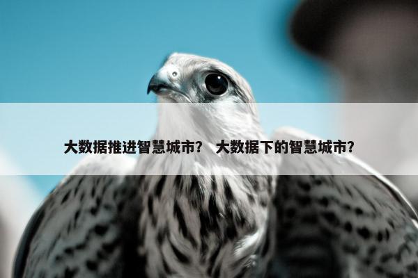 大数据推进智慧城市？ 大数据下的智慧城市？