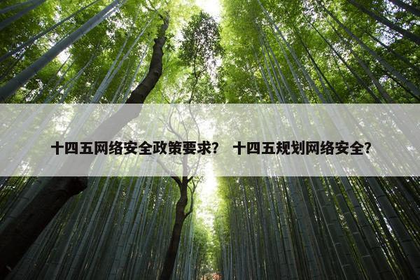 十四五网络安全政策要求？ 十四五规划网络安全？