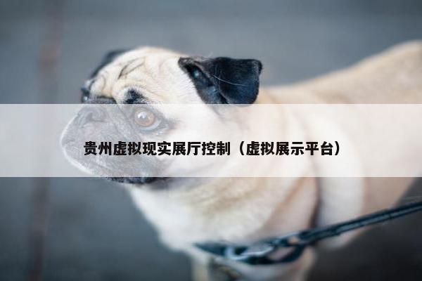 贵州虚拟现实展厅控制（虚拟展示平台）