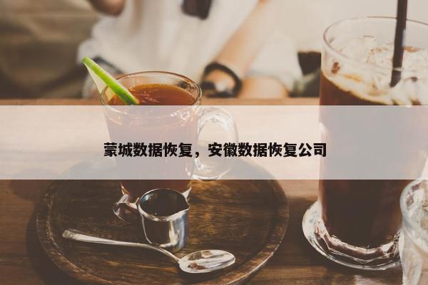 蒙城数据恢复，安徽数据恢复公司
