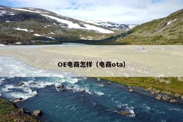 OE电商怎样（电商ota）