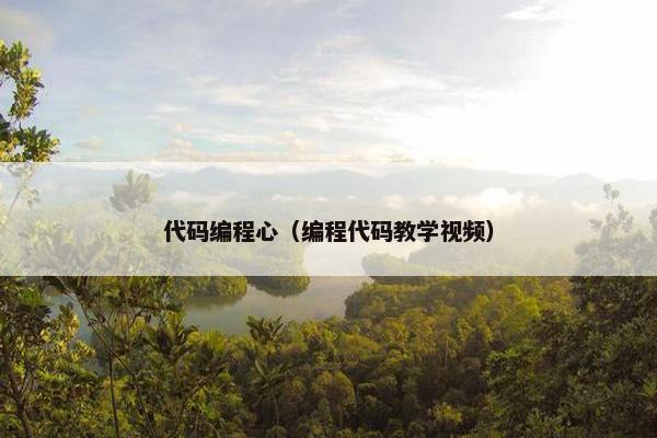 代码编程心（编程代码教学视频）