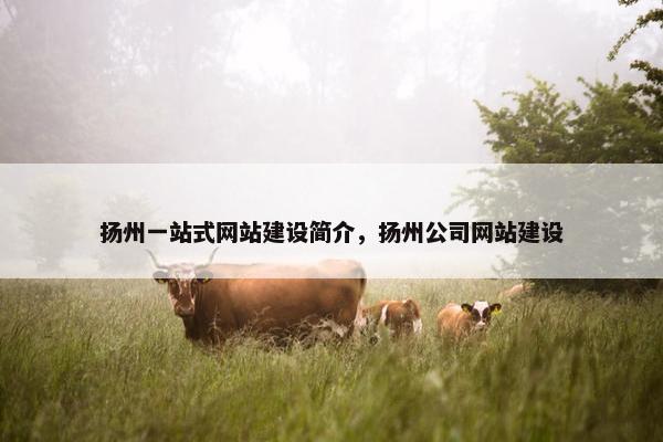 扬州一站式网站建设简介，扬州公司网站建设