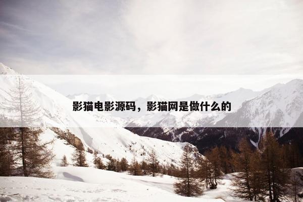 影猫电影源码，影猫网是做什么的