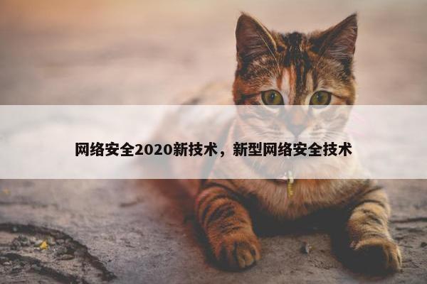 网络安全2020新技术，新型网络安全技术