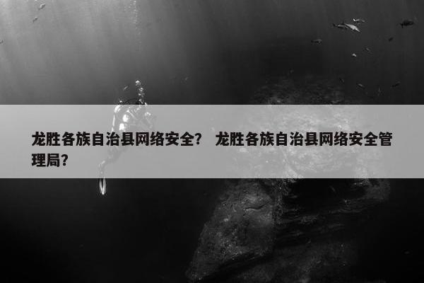 龙胜各族自治县网络安全？ 龙胜各族自治县网络安全管理局？