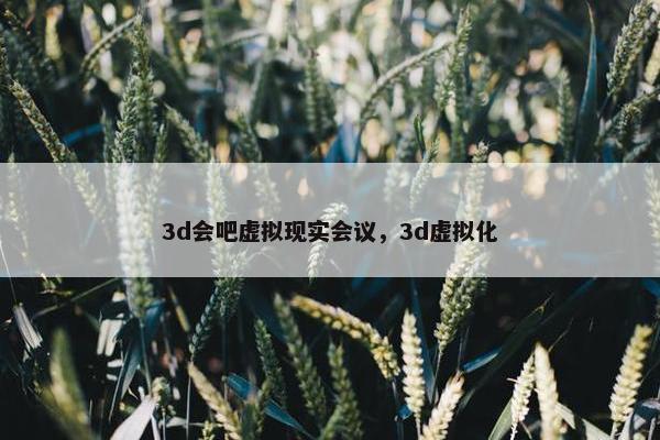 3d会吧虚拟现实会议，3d虚拟化