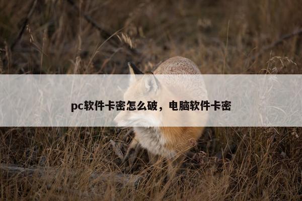 pc软件卡密怎么破，电脑软件卡密