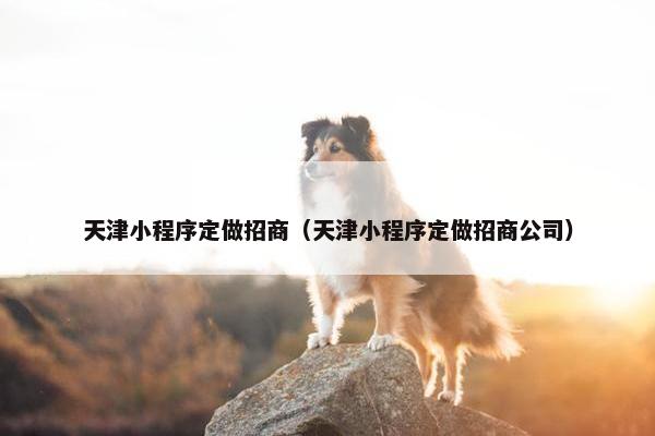 天津小程序定做招商（天津小程序定做招商公司）