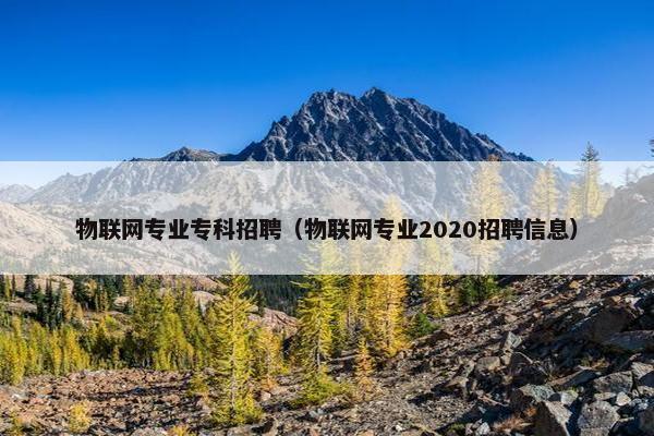 物联网专业专科招聘（物联网专业2020招聘信息）