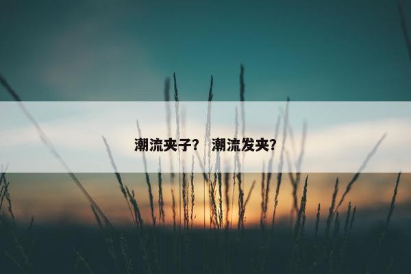 潮流夹子？ 潮流发夹？