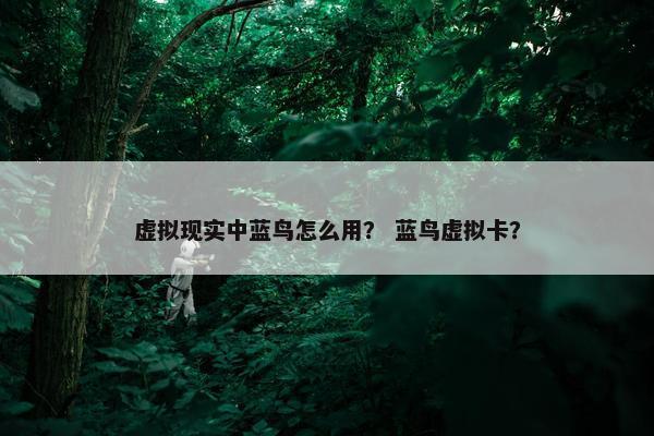 虚拟现实中蓝鸟怎么用？ 蓝鸟虚拟卡？