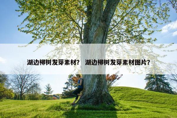湖边柳树发芽素材？ 湖边柳树发芽素材图片？