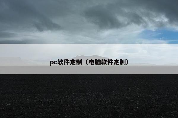 pc软件定制（电脑软件定制）