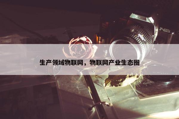 生产领域物联网，物联网产业生态圈