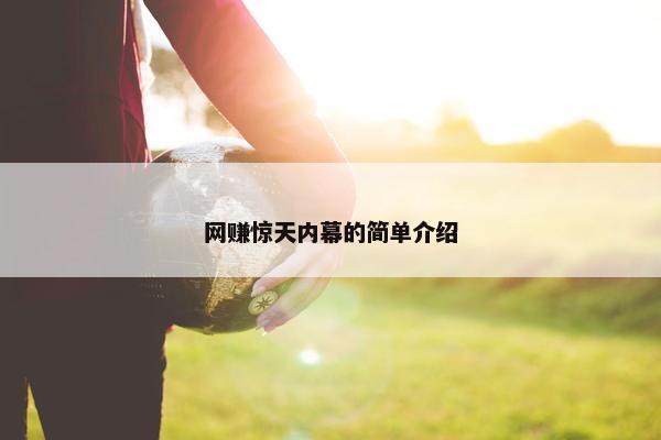 网赚惊天内幕的简单介绍