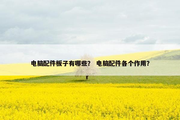 电脑配件板子有哪些? 电脑配件各个作用? 电脑配件板子有哪些? 电脑配件各个作用?