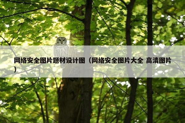网络安全图片题材设计图（网络安全图片大全 高清图片）