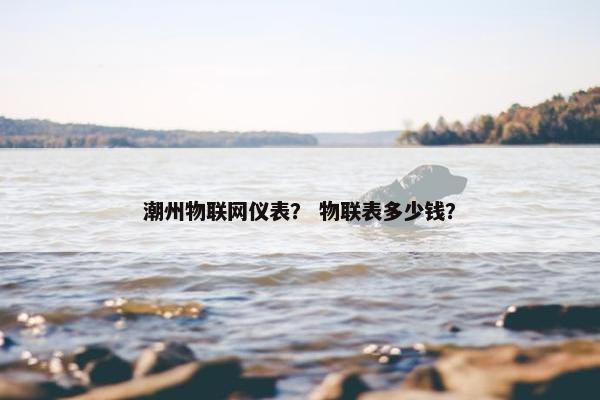 潮州物联网仪表？ 物联表多少钱？