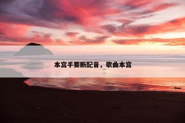 本宫手要断配音，歌曲本宫