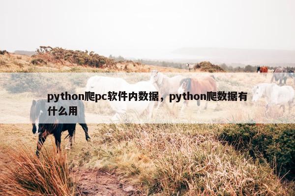 python爬pc软件内数据，python爬数据有什么用
