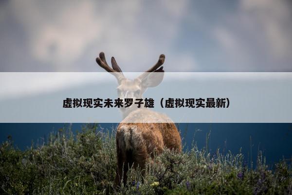 虚拟现实未来罗子雄（虚拟现实最新）