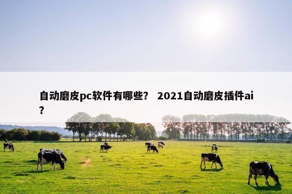 自动磨皮pc软件有哪些？ 2021自动磨皮插件ai？