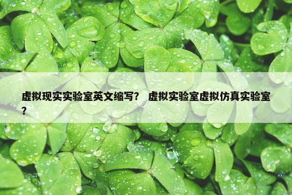 虚拟现实实验室英文缩写？ 虚拟实验室虚拟仿真实验室？