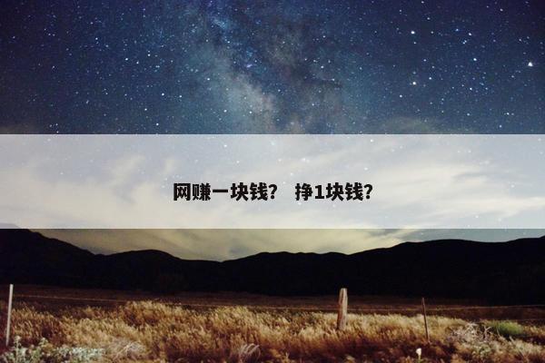 网赚一块钱？ 挣1块钱？