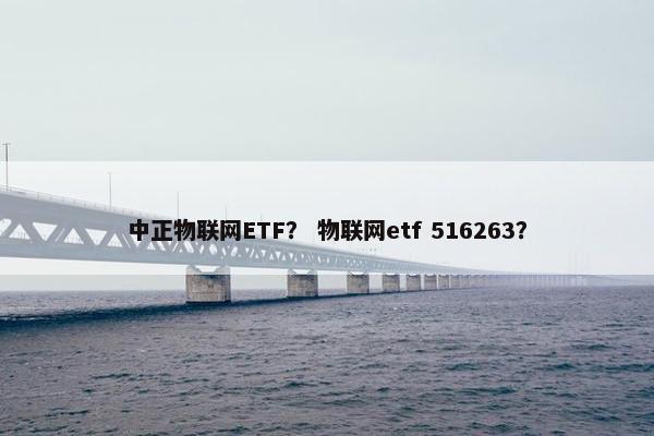 中正物联网ETF？ 物联网etf 516263？