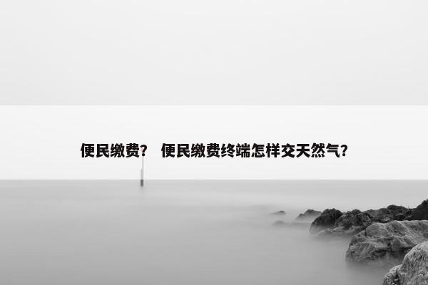 便民缴费？ 便民缴费终端怎样交天然气？