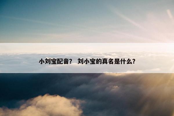 小刘宝配音？ 刘小宝的真名是什么？