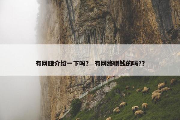 有网赚介绍一下吗？ 有网络赚钱的吗?？