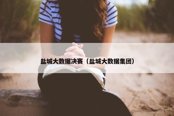 盐城大数据决赛（盐城大数据集团）