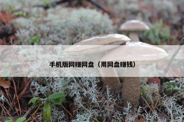 手机版网赚网盘（用网盘赚钱）